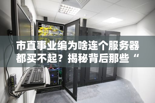 市直事业编为啥连个服务器都买不起？揭秘背后那些“抠门”真相！