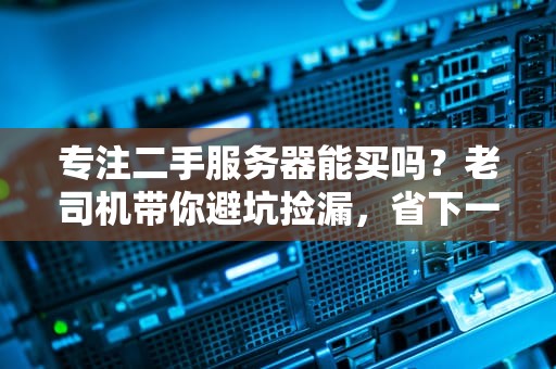 专注二手服务器能买吗？老司机带你避坑捡漏，省下一套房！