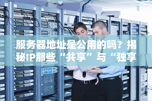 服务器地址是公用的吗？揭秘IP那些“共享”与“独享”的猫腻！