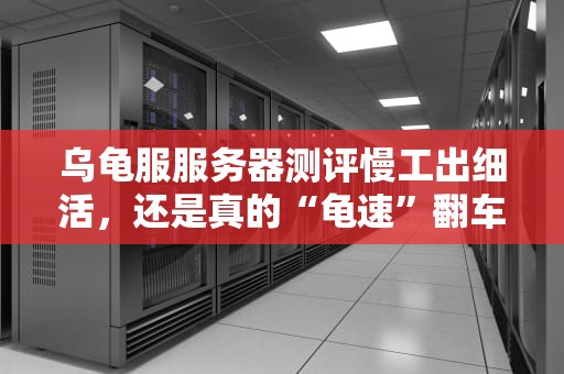 乌龟服服务器测评慢工出细活，还是真的“龟速”翻车？