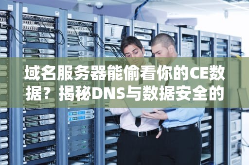 域名服务器能偷看你的CE数据？揭秘DNS与数据安全的那些事儿！