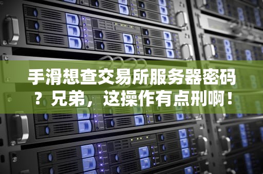 手滑想查交易所服务器密码？兄弟，这操作有点刑啊！