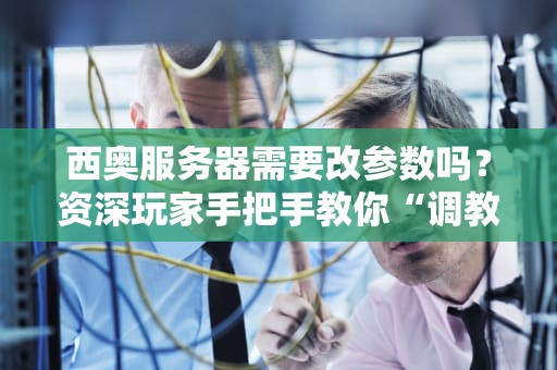 西奥服务器需要改参数吗？资深玩家手把手教你“调教”性能！