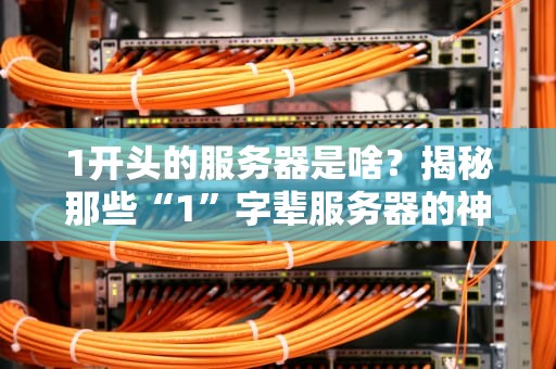 1开头的服务器是啥？揭秘那些“1”字辈服务器的神秘身份！