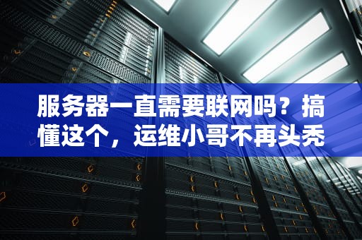 服务器一直需要联网吗？搞懂这个，运维小哥不再头秃！