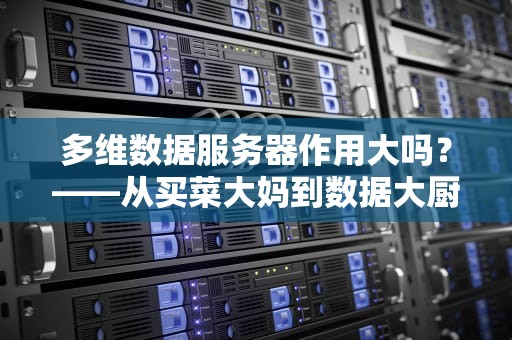 多维数据服务器作用大吗？——从买菜大妈到数据大厨的进阶之路