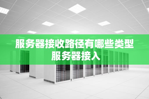 服务器接收路径有哪些类型 服务器接入
