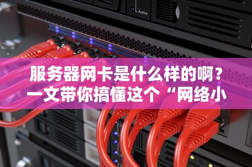 服务器网卡是什么样的啊？一文带你搞懂这个“网络小马达”的奥秘！