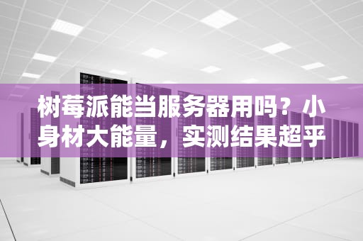 树莓派能当服务器用吗？小身材大能量，实测结果超乎想象！