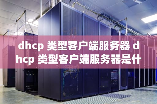 dhcp 类型客户端服务器 dhcp 类型客户端服务器是什么