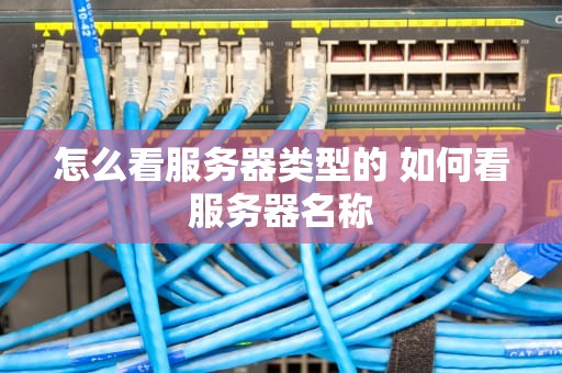 怎么看服务器类型的 如何看服务器名称