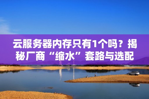 云服务器内存只有1个吗？揭秘厂商“缩水”套路与选配指南（附避坑姿势）