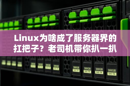 Linux为啥成了服务器界的扛把子？老司机带你扒一扒真相！