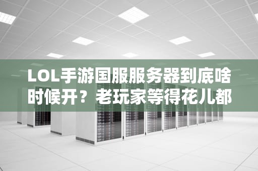 LOL手游国服服务器到底啥时候开？老玩家等得花儿都谢了！