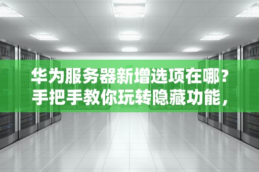 华为服务器新增选项在哪？手把手教你玩转隐藏功能，运维老鸟都直呼内行！