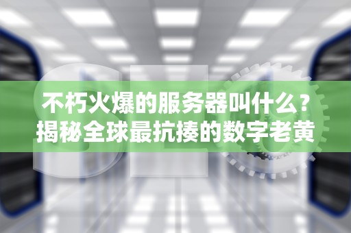 不朽火爆的服务器叫什么？揭秘全球最抗揍的数字老黄牛！