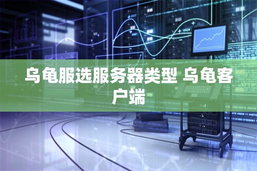 乌龟服选服务器类型 乌龟客户端