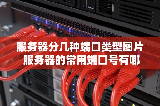 服务器分几种端口类型图片 服务器的常用端口号有哪些