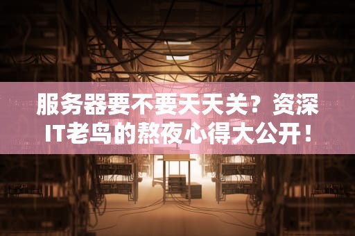 服务器要不要天天关？资深IT老鸟的熬夜心得大公开！