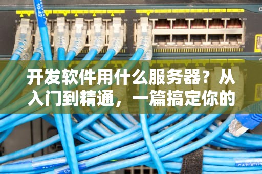 开发软件用什么服务器？从入门到精通，一篇搞定你的选择困难症！