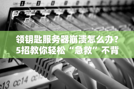领钥匙服务器崩溃怎么办？5招教你轻松“急救”不背锅！
