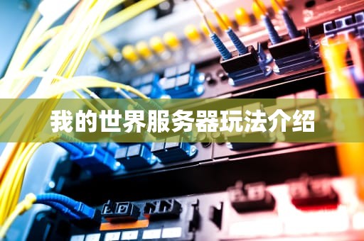 我的世界服务器玩法介绍