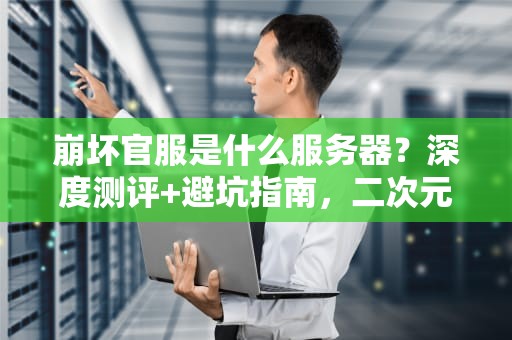 崩坏官服是什么服务器？深度测评+避坑指南，二次元玩家必看！