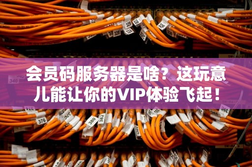 会员码服务器是啥？这玩意儿能让你的VIP体验飞起！