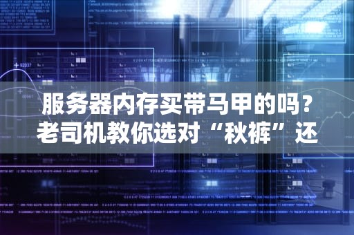 服务器内存买带马甲的吗？老司机教你选对“秋裤”还是“比基尼”！