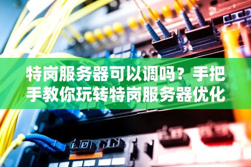 特岗服务器可以调吗？手把手教你玩转特岗服务器优化！