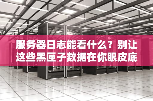 服务器日志能看什么？别让这些黑匣子数据在你眼皮底下溜走！