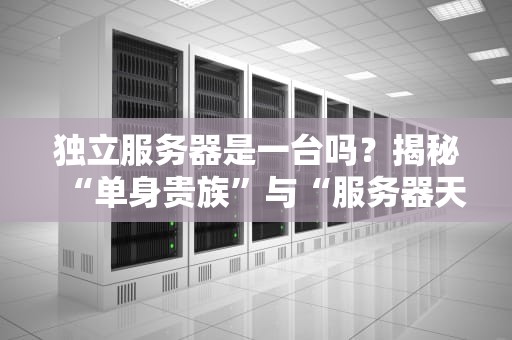 独立服务器是一台吗？揭秘“单身贵族”与“服务器天团”的真相！