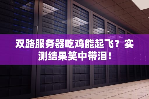 双路服务器吃鸡能起飞？实测结果笑中带泪！