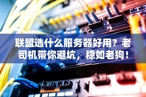 联盟选什么服务器好用？老司机带你避坑，稳如老狗！