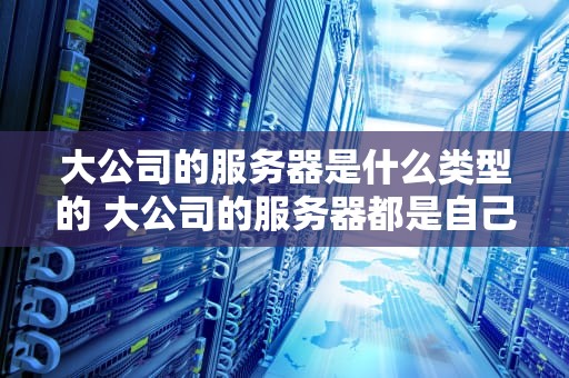 大公司的服务器是什么类型的 大公司的服务器都是自己的吗
