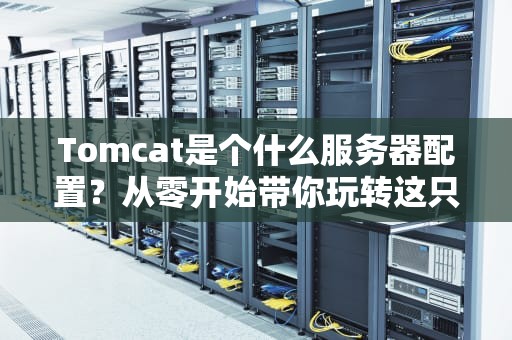 Tomcat是个什么服务器配置？从零开始带你玩转这只“猫”！