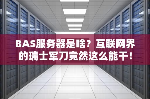 BAS服务器是啥？互联网界的瑞士军刀竟然这么能干！