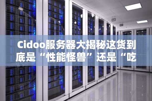 Cidoo服务器大揭秘这货到底是“性能怪兽”还是“吃电巨兽”？