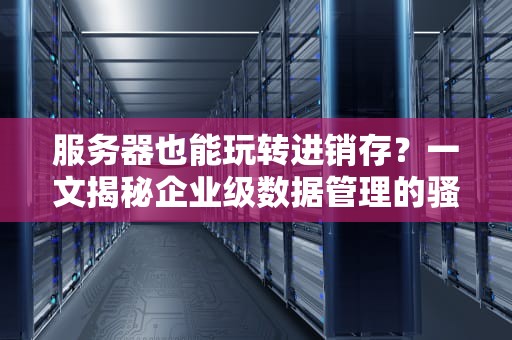 服务器也能玩转进销存？一文揭秘企业级数据管理的骚操作！