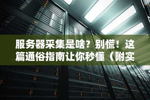 服务器采集是啥？别慌！这篇通俗指南让你秒懂（附实战案例）