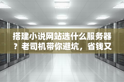 搭建小说网站选什么服务器？老司机带你避坑，省钱又省心！