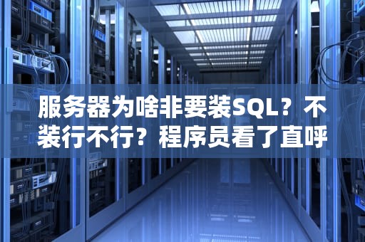 服务器为啥非要装SQL？不装行不行？程序员看了直呼内行！
