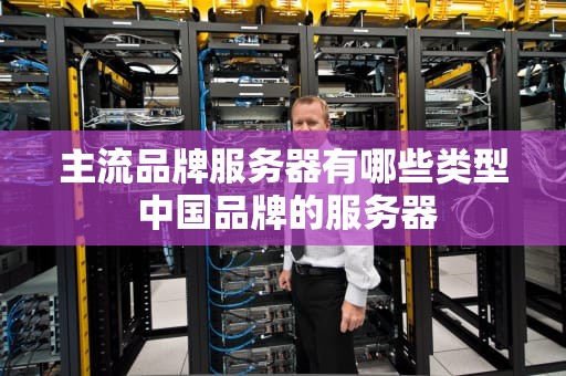 主流品牌服务器有哪些类型 中国品牌的服务器
