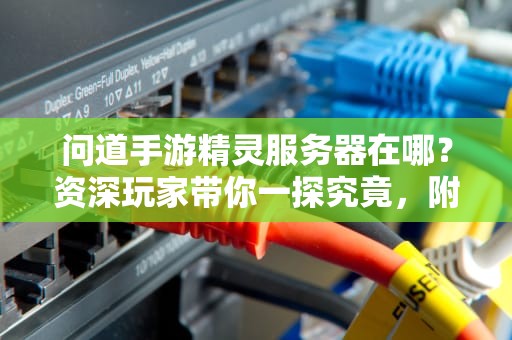 问道手游精灵服务器在哪？资深玩家带你一探究竟，附超实用测评！