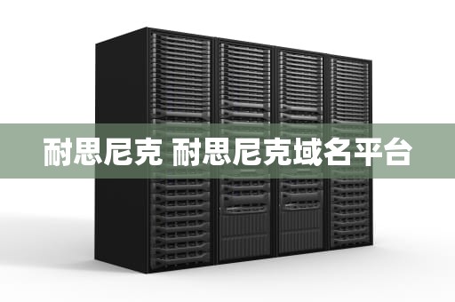 耐思尼克 耐思尼克域名平台