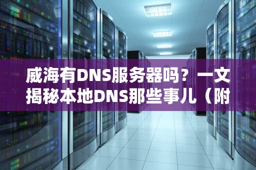 威海有DNS服务器吗？一文揭秘本地DNS那些事儿（附专业测评）