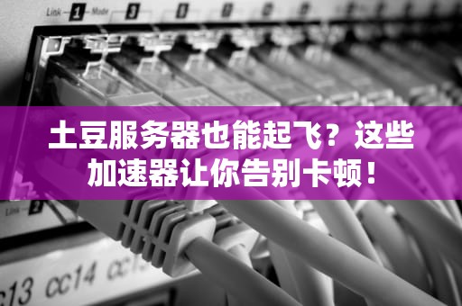 土豆服务器也能起飞？这些加速器让你告别卡顿！