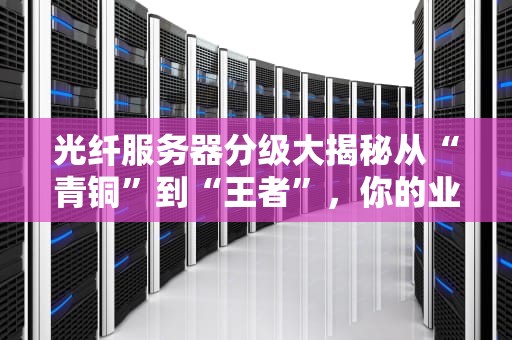 光纤服务器分级大揭秘从“青铜”到“王者”，你的业务该选哪一档？