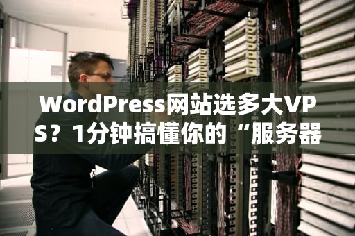 WordPress网站选多大VPS？1分钟搞懂你的“服务器饭量”！