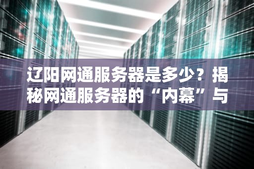 辽阳网通服务器是多少？揭秘网通服务器的“内幕”与选购指南！